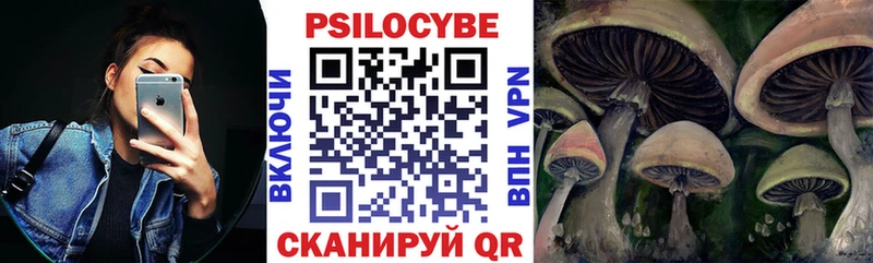 Галлюциногенные грибы мухоморы  магазин  наркотиков  Льгов 