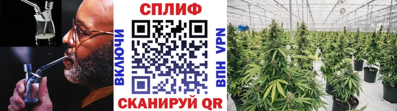 Бошки марихуана Bruce Banner  Льгов 
